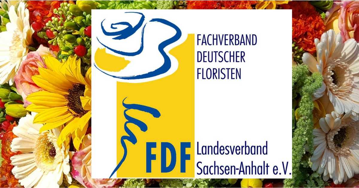 (c) Fdf-sachsen-anhalt.de